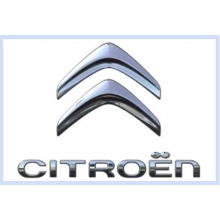 Citroen oto kiralama